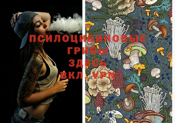 spice Балахна