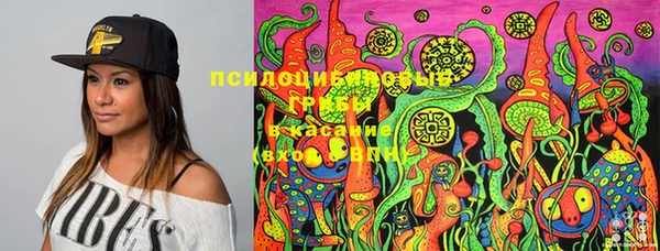 гидропоника Баксан