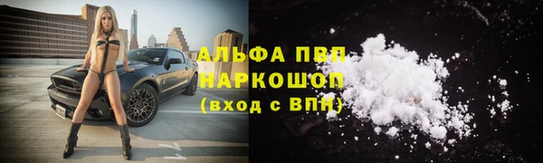 гидра Дмитриев